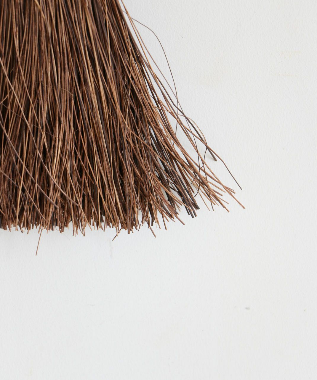 松野屋 / シダ庭ぼうき3