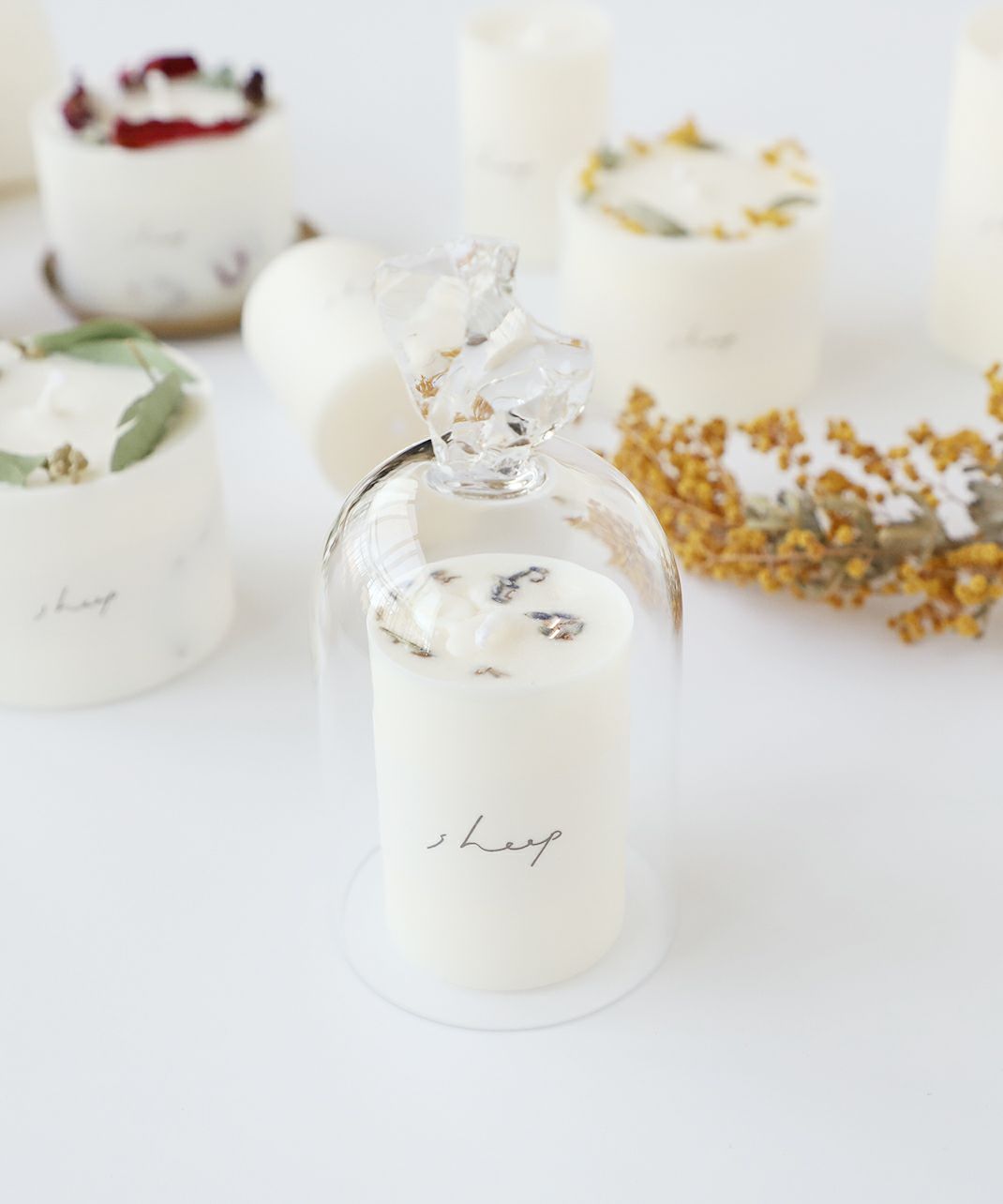 ソイアロマキャンドル S sheep ガラスドーム Sサイズ (大） This___